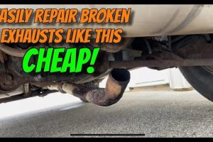 Max Speed Exhaust Specialist
