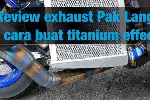 Pak Lang Ekzos & Custom