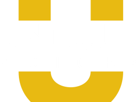 Unique motor