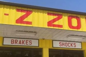 Zone Ekzos Service Centre